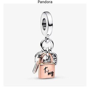 Pandora Charms